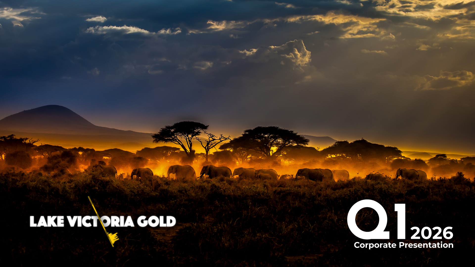 LVG Corporate Presentation